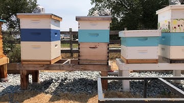 Mannlakeltd varroa mite screened bottom board