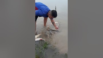 Câu cá đập đá bàn bắc tân uyên