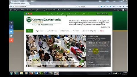 Building the Wordpress Slider: Adding Text, Images and Links