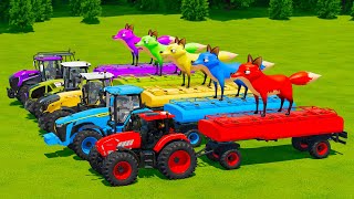 LAMBORGHINI vs JOHN DERRE vs CLAAS vs JCB TRACTORS BATTLE WITH GIANT FOXES & WATER TANKS  Fs22