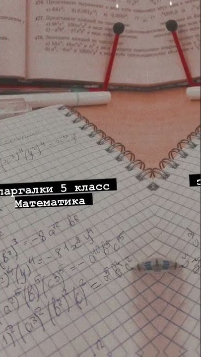 Шпаргалки 5 класс Математика🦋 - YouTube