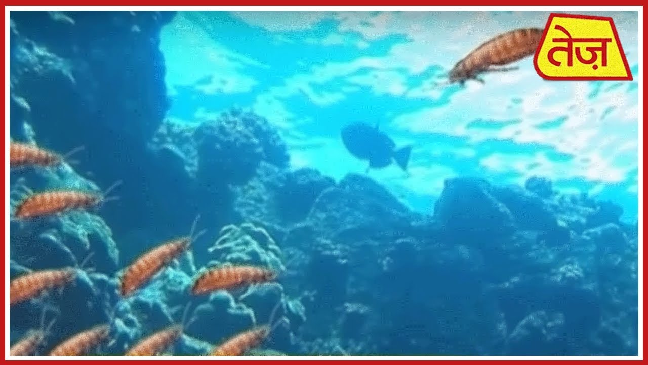 astros मैं भाग्य हूं : Main Bhagya Hoon | Daily Horoscope | July 8th, 2019 | 9.30 AM