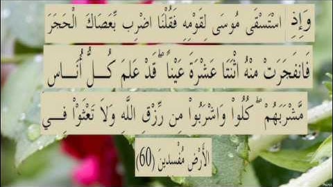 القران الكريم سورة البقرة الاية 60