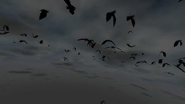 Bats Prefab Unity 3D