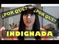 ¿POR QUÉ? INDIGNADA - Escondite de RacheL