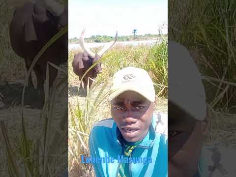 Luhende Masunga 0784444967 