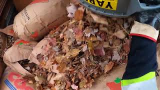 Fall Yard Waste 4 GoPro Garbage man POV by Huck City  16,195 views 5 months ago 12 minutes, 32 seconds