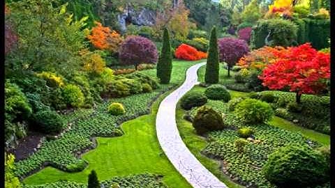 تلاوة لأحمد النفيسة سورة الزمر (25)(9)1435