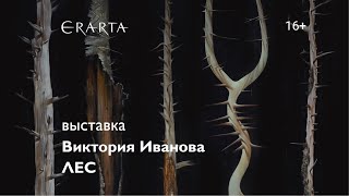 «Виктория Иванова. Лес». Выставка в музее Эрарта