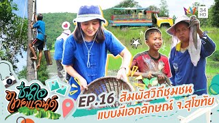 สัมผัสวิถีชุมชนบรรยากาศสดชื่น จ.สุโขทัย | ชื่นใจไทยแลนด์ | EP.16