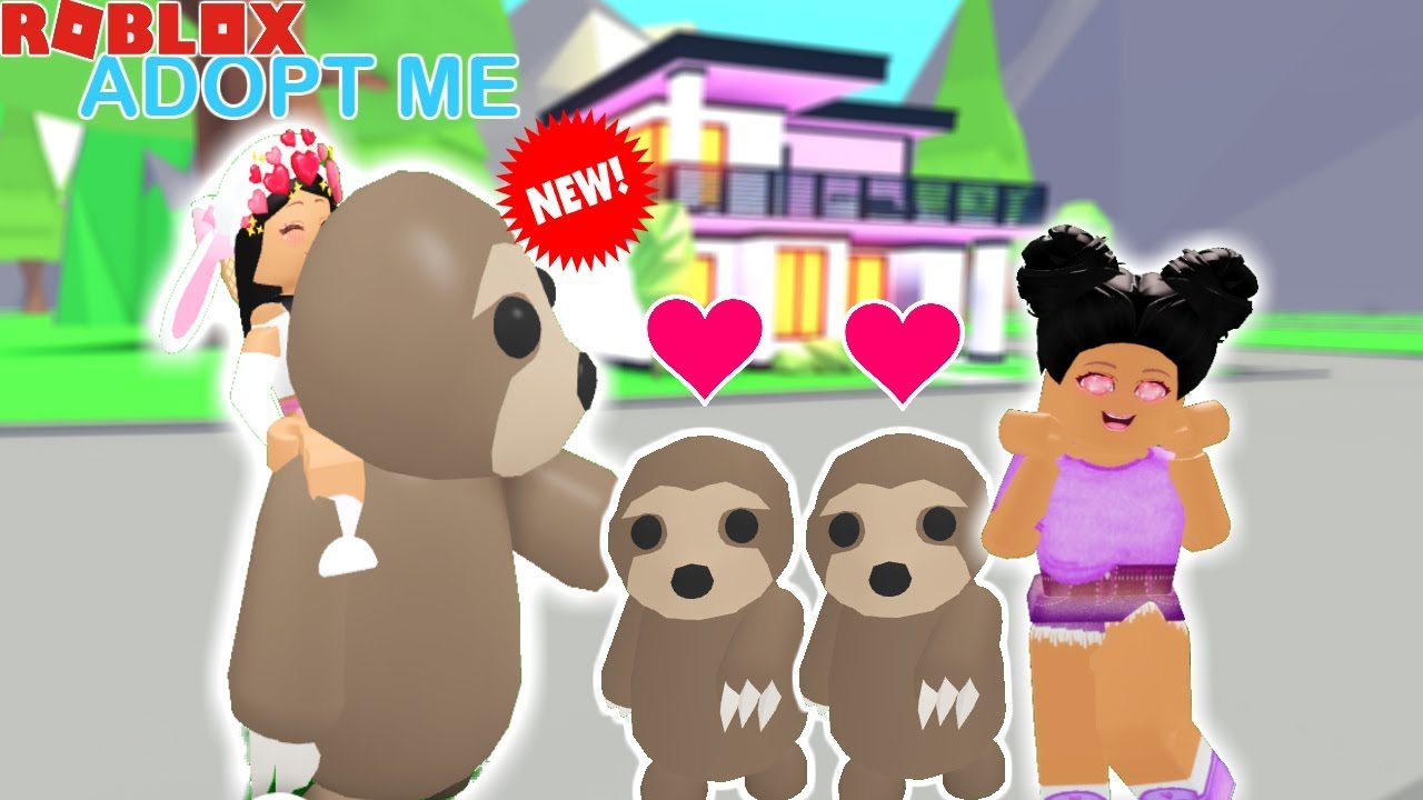 Adopting Baby Triplet Sloths Rideable With My Daughter Roblox - sloth adopt me roblox