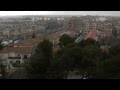 Lluvia sobre los pinos