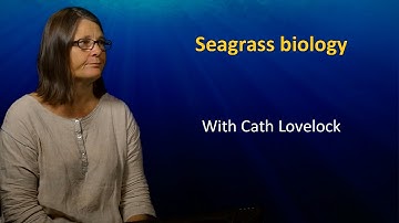 UQx TROPIC101x 3.2.2 Seagrass Biology