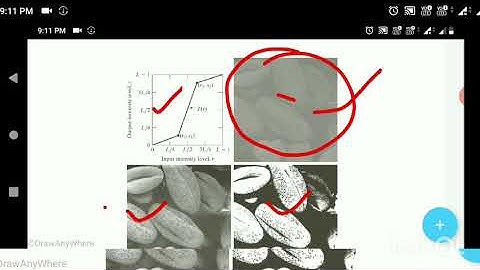 Module 2 class 2 -Intensity Transformation