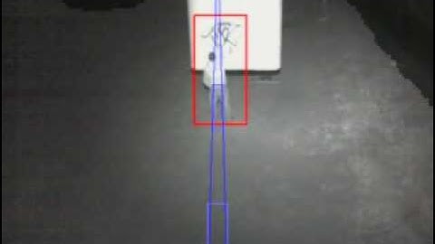 Vandalism caught by Emza WiseEye video sensor