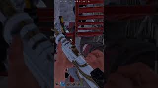 Celebrity THEY GOT BANNED MID RAID?? | #alpacasita on #Twitch #Rust Profile