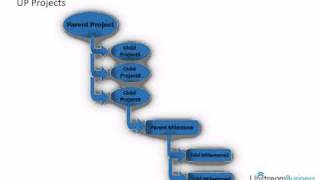 UP Online Project Management
