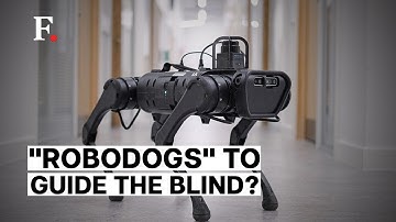 Swiss Team Develops Robots That Can Replace Guide Dogs For Blind