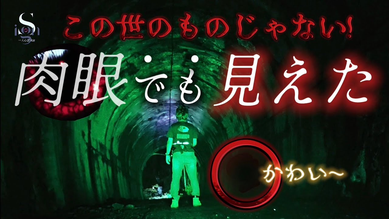 目の前に現る！ こっ♡ これは！？ ハッキリと足音まで！  (旧日貫隧道・島根県)