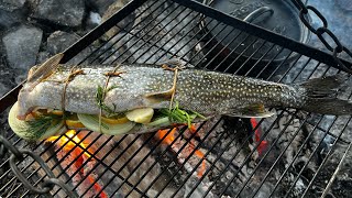 A LAKE TROUT DINNER | SOLAR PANELS AND AN UPDATE FROM THE KIDS // EFRT S8 EP13