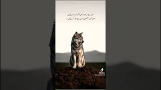 Use hona chor dey🫣 #fypシ #reality