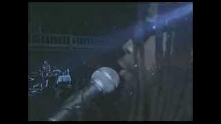 Morgan Heritage - Down By The River Live Performance In Amsterdam