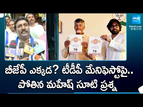 YSRCP Leader Pothina Mahesh Comments About TDP Alliance Manifesto | AP Elections | @SakshiTV - SAKSHITV