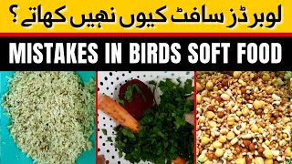 Why Lovebirds don't eat soft food | How to Feed your birds soft food | Mistakes & Solution | Parrots screenshot 5
