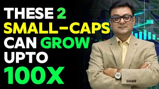 These 2 Small-Caps Can Grow Upto 100x | best multibagger shares 2024 | Raghav Value Investing