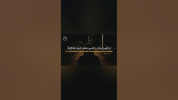 سورة النور بصوت الشيخ د. ياسر الدوسري من ٣٠ الى ٣١