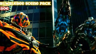 Bumblebee Scene Packaoe