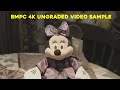 Bmpc 4k  ungraded film dynamic range indoor shot