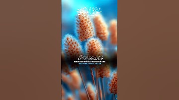 تلاوة خاشعه اسمع بقلبك 🍂🎧#قرآن #quran #اكسبلور #راحة_نفسية #المصحف #لايك #trending