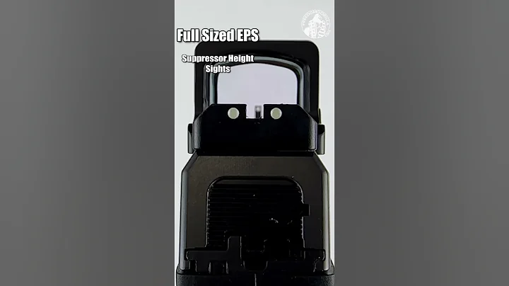 CZ P10 F HoloSun Co-Witness Guide