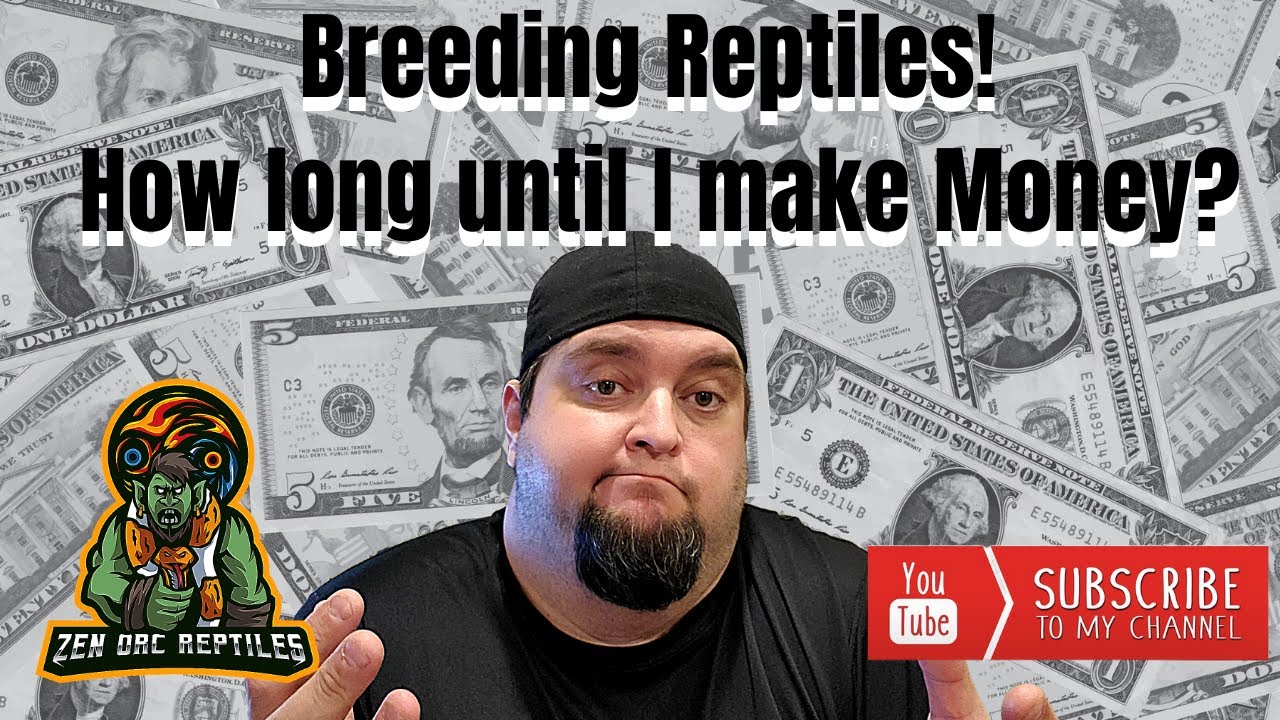 Breeding Reptiles FullTime! How Long Before You Start To Make Money