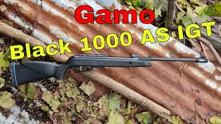 Gamo black 1000 igt cal. 5.5 mm 🥇 Conpactum