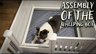Whelping Box Assembly from Start to Finish