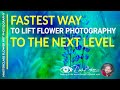 The fastest way to lift your flower photography to the next level: The Art of Effective Backgrounds