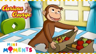 What's in the Package? 📦 | Curious George | Compilation | Mini Moments