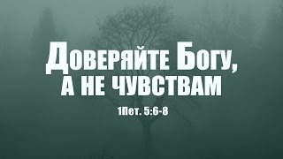 Проповедь: "Доверяйте Богу, а не чувствам" (Вениамин Портанский)