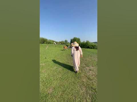 Лакшери-жизнь - YouTube