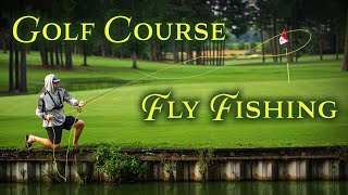 Fly Fishing for Bass on Golf Course Ponds (Topwater Blowups)