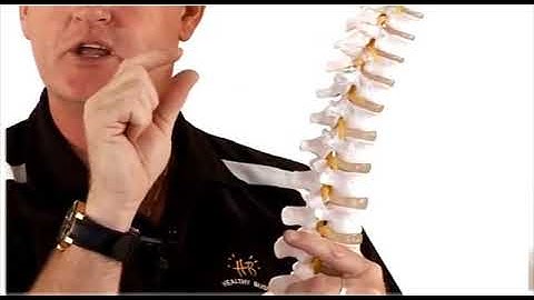 Anatomy and Manual Handling Part 3