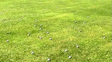 Save hundreds of golf balls with the BALLPICKER