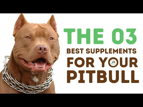 Video: Het beste gezamenlijke supplement kiezen voor een Pit Bull - 6 dingen die je moet weten