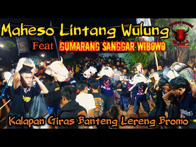 ⚫Kal4pan G!ras Banteng Lereng Bromo // Team Gembreok feat Pragos Live Kunci Selatan Poncokusumo class=