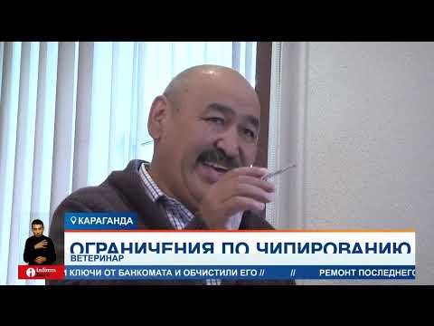 Разработчику программы для