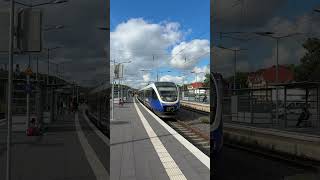 RB 74 nach Paderborn Hbf 😍🙏🔥Danke an den Lokführer fürs grüßen! 🙋♂️ #nordwestbahn #train
