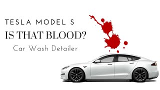 Tesla Model S - Is That Blood? by Mastering How-To 99 views 1 year ago 3 minutes, 36 seconds