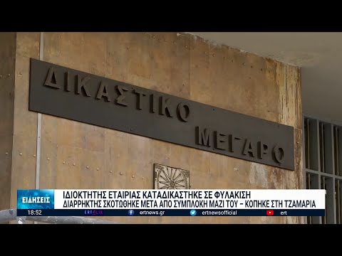 Ιδιοκτήτης εταιρίας καταδικάστηκε για συμπλοκή με διαρρήκτη | 25/11/2022 | ΕΡΤ